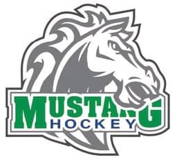 U11 Melfort Stallions logo