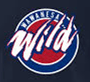 Wawa/Glen/Shilo U13 logo