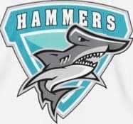 Delmarva Hammers logo