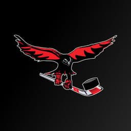 Hawks logo