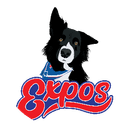 Expos Hockey Club logo