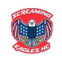 Screaming Eagles logo