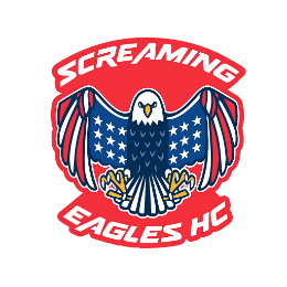 Screaming Eagles logo