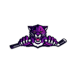 Panthers logo