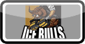 Ice Bulls logo
