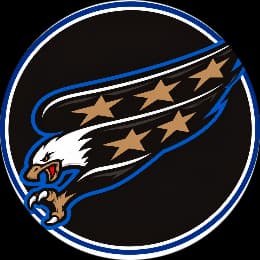 Warbirds logo