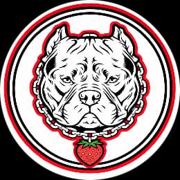 Team logo