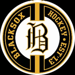 Blacksox logo