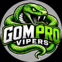 Vipers logo