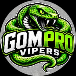 Vipers logo