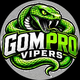 Vipers logo