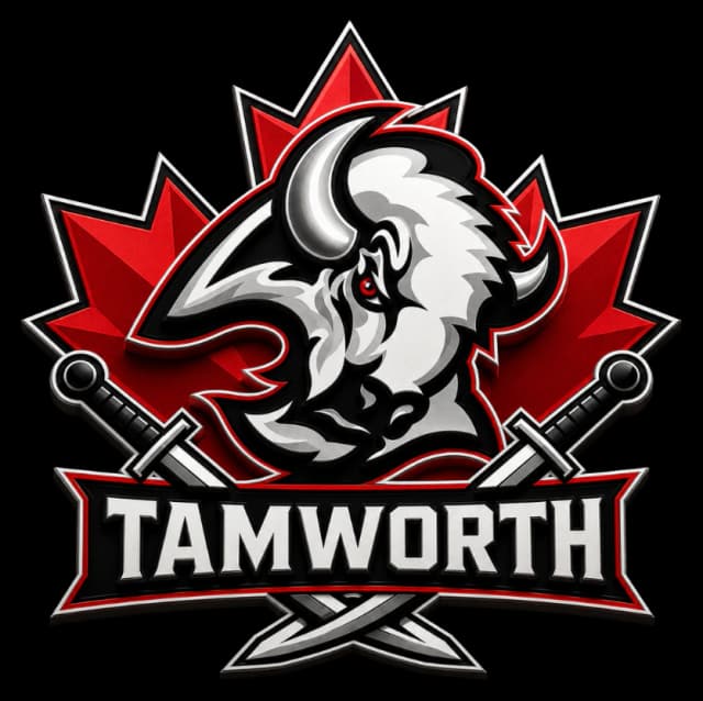 Tamworth Sabres logo