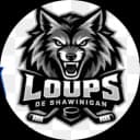Loups logo