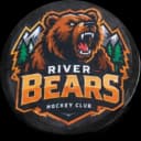 Bears logo