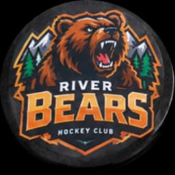 Bears logo