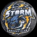 Storm logo