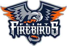 Firebirds logo