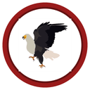 Harriers logo