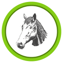 Mustangs logo