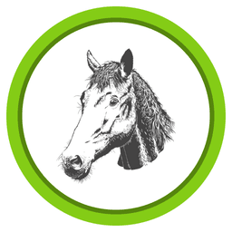 Mustangs logo
