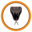 Vipers logo